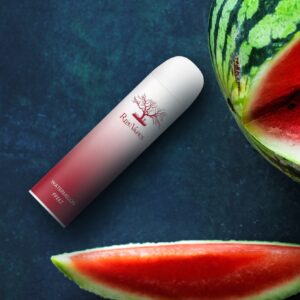 PALM 3000PUFF - WATERMELON FREEZ