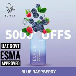 elfbar-bc5000-blue-raspberry.