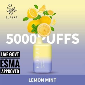 elfbar-bc5000-lemon-mint