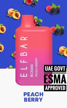 ELFBAR BC5000 Paech Berry