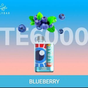 ELF BAR TE6000 DISPOSABLE DEVICE - BLUEBERRY