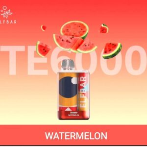 ELF BAR TE6000 DISPOSABLE DEVICE - WATERMELON