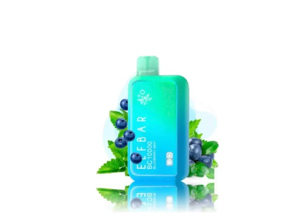 elf-bar-bc10000-disposable-device-blueberry-mint